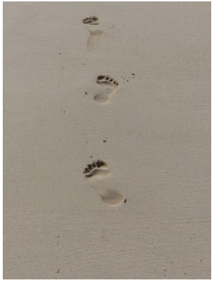 screen_shot_2013-03-25_at_10-50-26_am